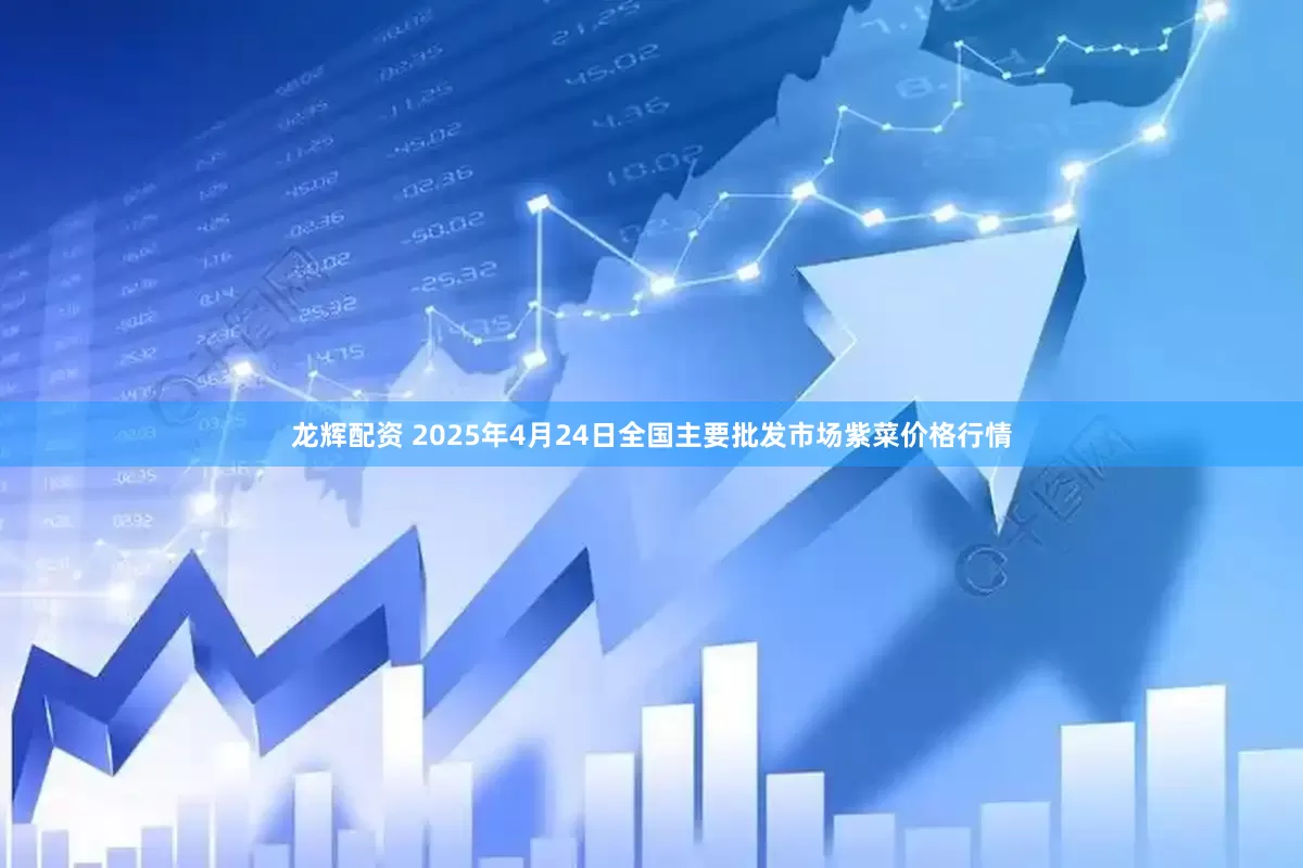 龙辉配资 2025年4月24日全国主要批发市场紫菜价格行情
